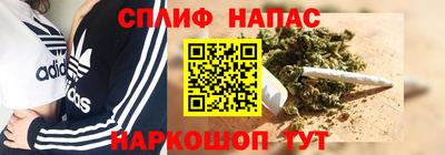 МДПВ Пенза