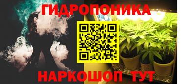 МДПВ Пенза