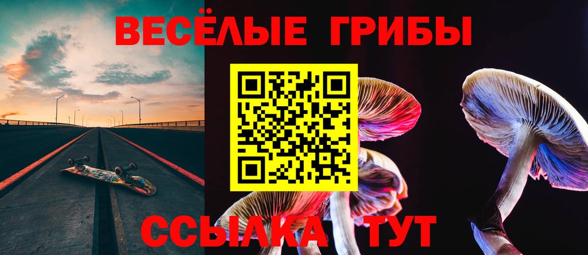 Подольск  Галлюциногенные грибы Psilocybe  что такое наркотик  Псилоцибиновые грибы мухоморы  Вход с VPN 